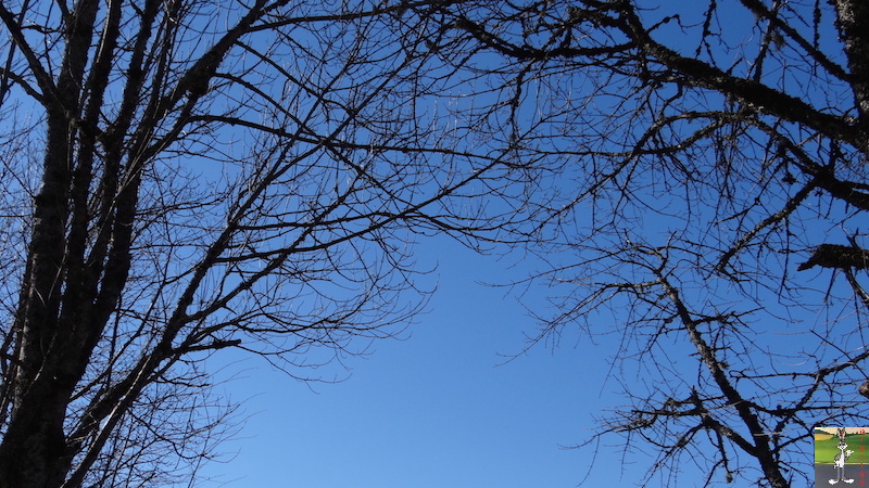 2017-02-18 : Soleil et ciel bleu à La Mainmorte (39) 2017-02-18_soleil_ciel_bleu_05