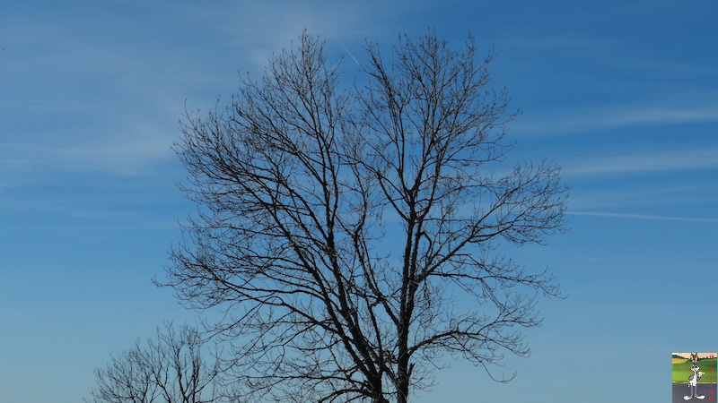 2017-02-25 : Balade dans le Haut-Jura (39) 2017-02-25_HJ_22