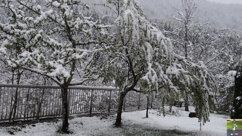 2017-05-01 : A nouveau de la neige à La Mainmorte (39) 2017-05-01_neige_09