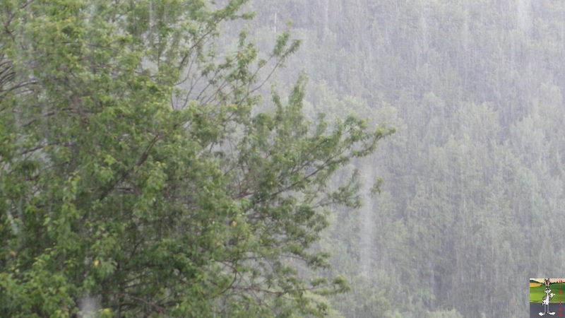 2017-07-22 : Fleurs et pluie à La Mainmorte (39) 2017-07-22_Fleurs_Pluie_09