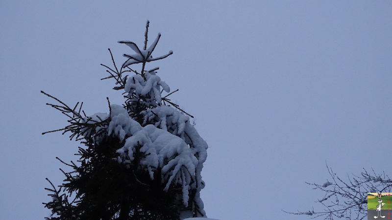 2018-02-02 : Nouveau retour de la neige à La Mainmorte (39) 2018-02-02_Neige_06