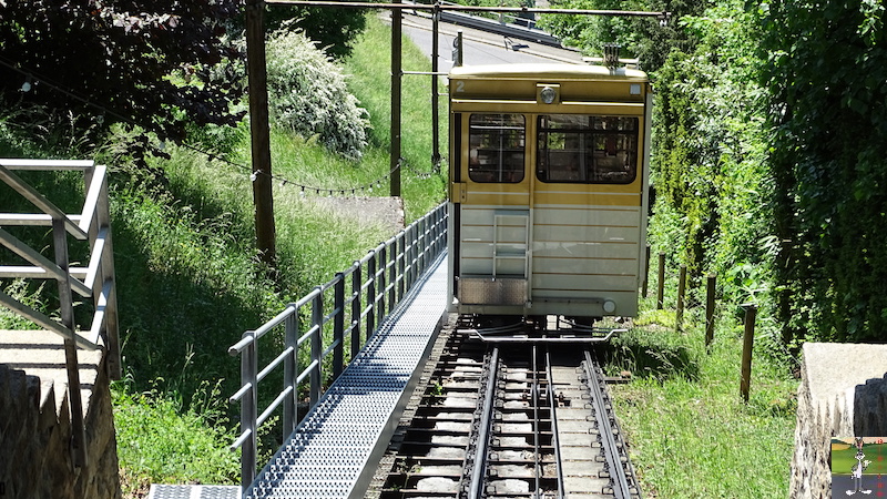 2018-05-08 : Balade en Suisse, Glion (VD, CH) 2018-05-08_Glion_12