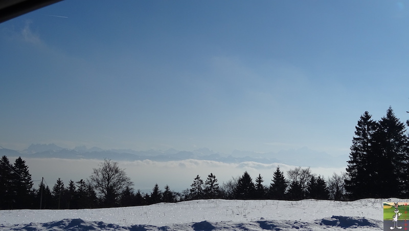 2019-01-19 : Sur les bords du Lac Léman (VD, CH) 2019-01-19_leman_01