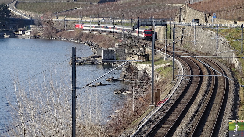 2019-01-19 : Sur les bords du Lac Léman (VD, CH) 2019-01-19_leman_10