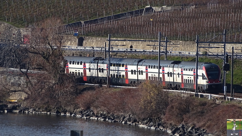 2019-01-19 : Sur les bords du Lac Léman (VD, CH) 2019-01-19_leman_13