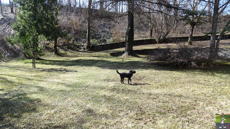 2019-03-24 : La nature reprend vie à La Mainmorte (39) 2019-03-24_nature_renait_10