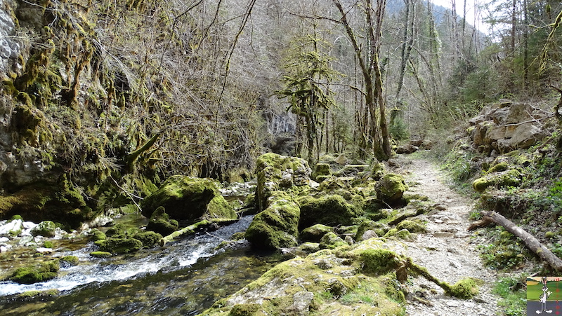 2019-04-06 : Balade à la Cascade des Combes à la sortie de St-Claude (39) 2019-04-06_cascade_des_combes_14