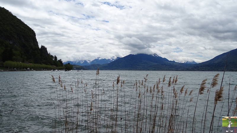 2019-04-27 : Balade au bord du Lac d'Annecy (74) 2019-04-27_lac_annecy_05