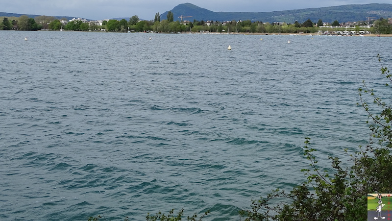 2019-04-27 : Balade au bord du Lac d'Annecy (74) 2019-04-27_lac_annecy_20