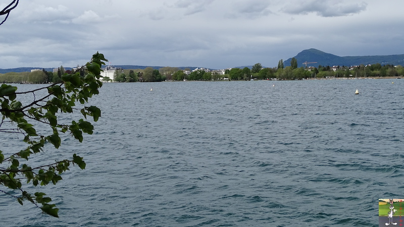 2019-04-27 : Balade au bord du Lac d'Annecy (74) 2019-04-27_lac_annecy_21