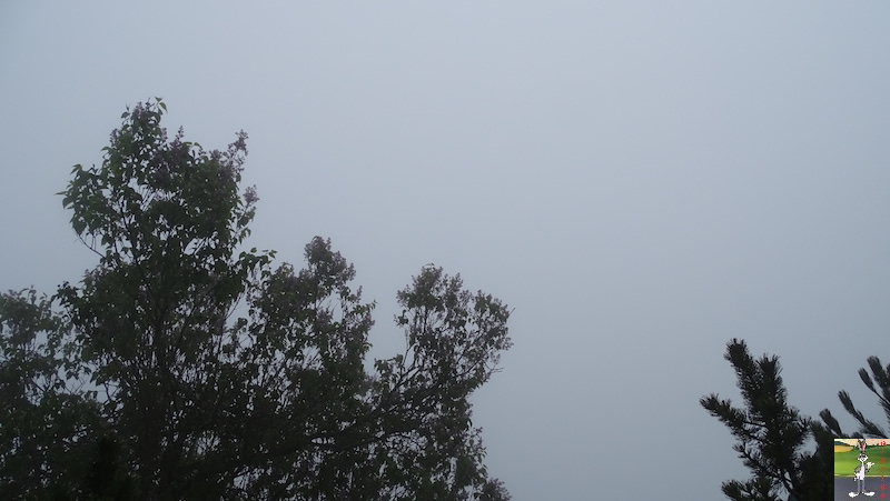 Les 4 Saisons de "Mon Jura" - Page 17 2019-05-19_brouillard_03