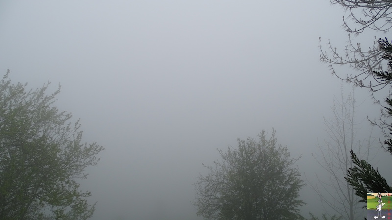 2019-05-19 : Journée automnale avec du brouillard à La Mainmorte (39) 2019-05-19_brouillard_04