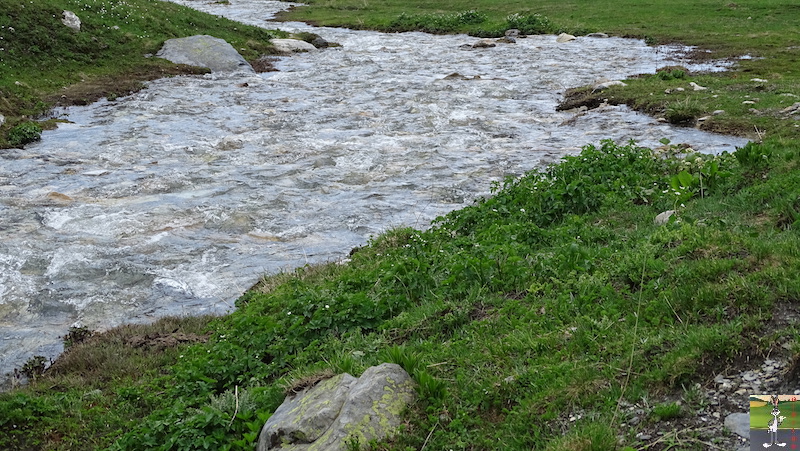 [VS - CH] : 2019-07-06 : Balade au col du Grand Saint-Bernard 2019-07-06_col_grand_st_bernard_08