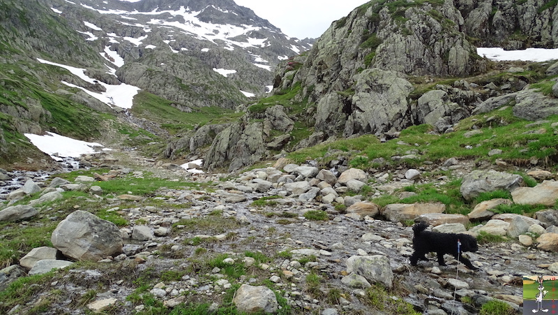 [VS - CH] : 2019-07-06 : Balade au col du Grand Saint-Bernard 2019-07-06_col_grand_st_bernard_29