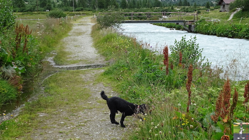 [VS, BE - CH] : 2019-07-31 : Balade en Suisse entre les Cantons du Valais et de Bern 2019-07-31_suisse_10