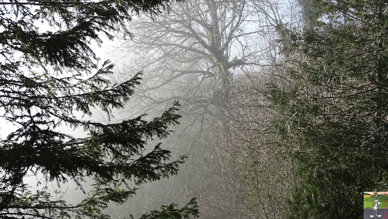 [39] - 2020-01-11 : Balade entre soleil et brouillard à La Mainmorte 2020-01-11_Mainmorte_04
