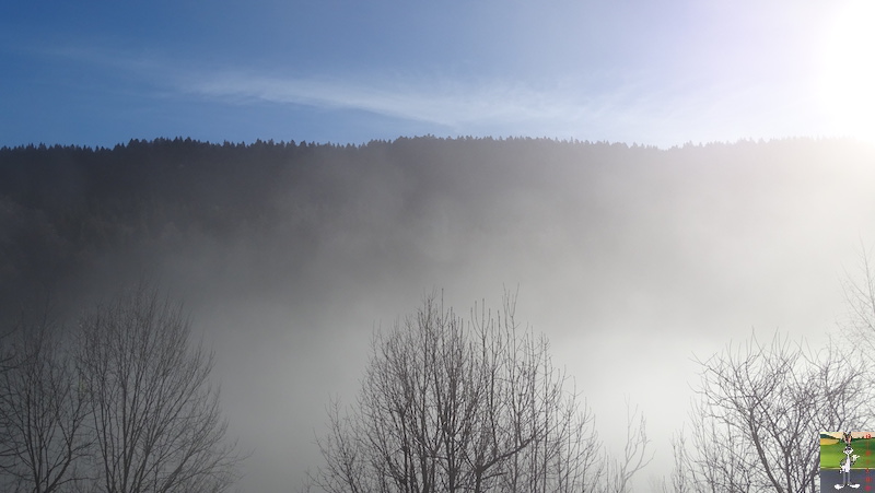 [39] - 2020-01-11 : Balade entre soleil et brouillard à La Mainmorte 2020-01-11_Mainmorte_06