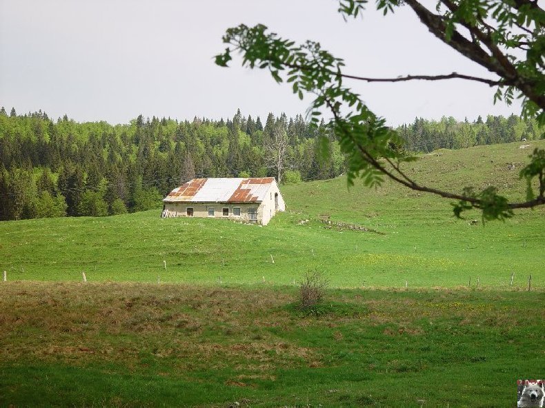 La Ferme du Haut-Jura 0010