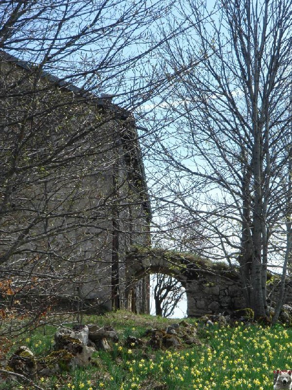 La Ferme du Haut-Jura 0024