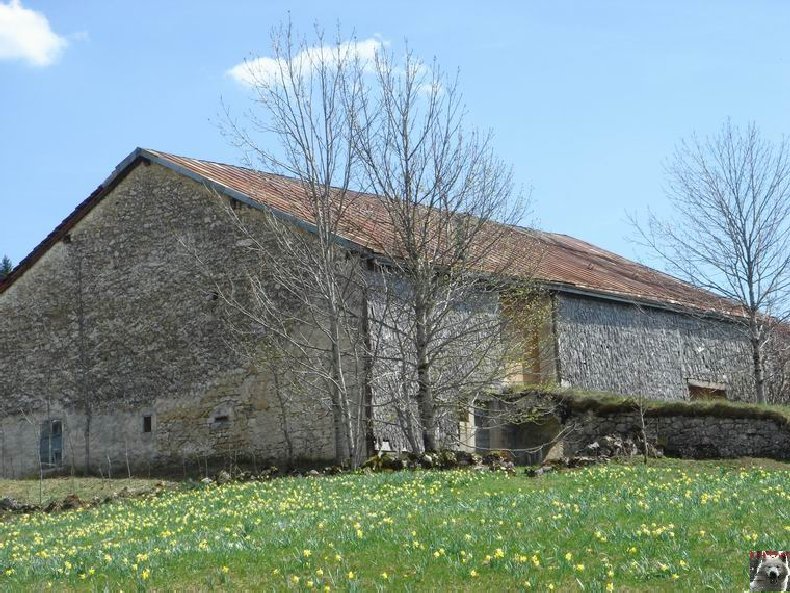 La Ferme du Haut-Jura 0025