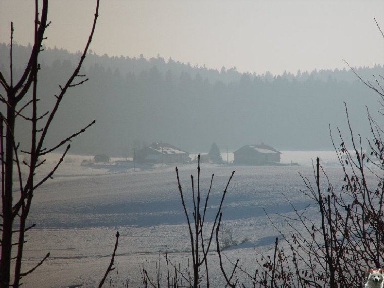 La Ferme du Haut-Jura 0030