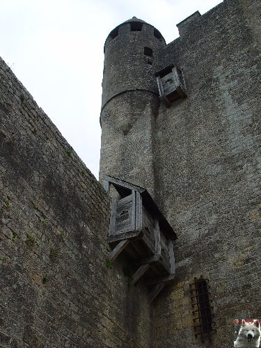 Le Château de Beynac (24) 0008