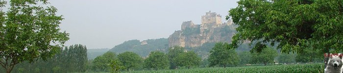 Le Château de Beynac (24) Logo