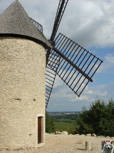 Le Moulin de Santenay (21) 0009