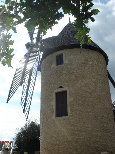 Le Moulin de Santenay (21) 0010
