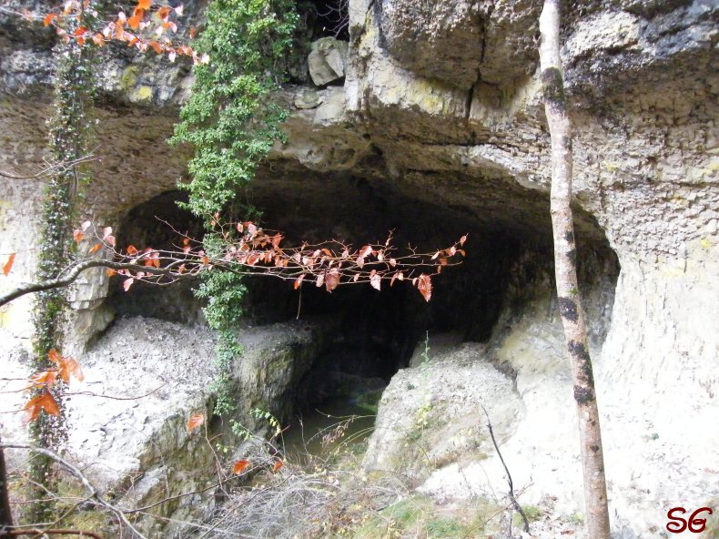 Les Monts de Bienne à l'Automne - Sandrine - novembre 2009 0007