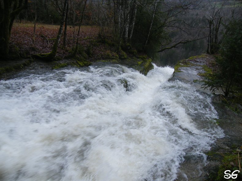 Les Monts de Bienne à l'Automne - Sandrine - novembre 2009 0027