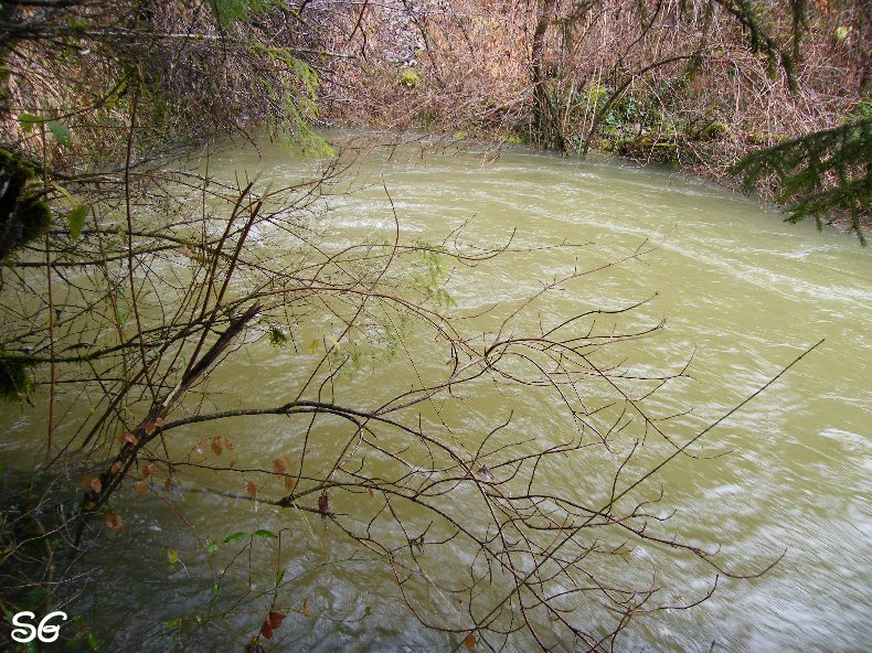 Les Monts de Bienne à l'Automne - Sandrine - novembre 2009 0028