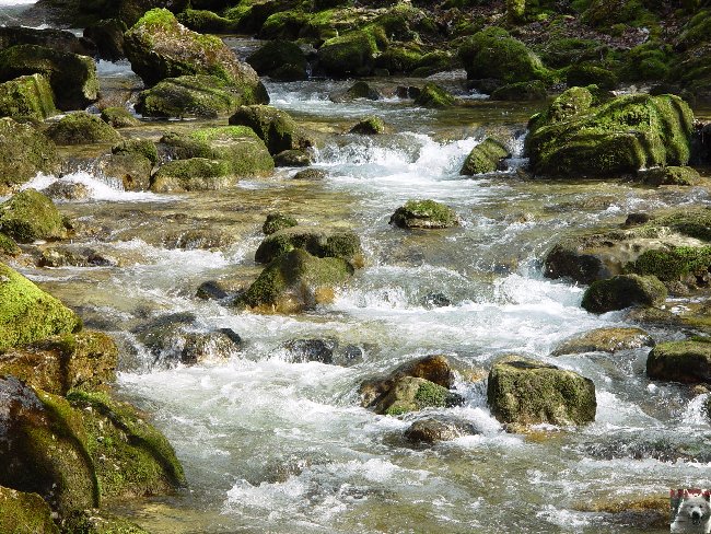 Cascades du Hérisson 0007