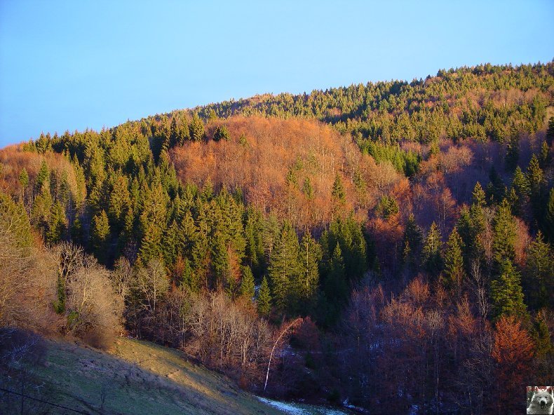 La Combe de Tressus (39) 0008