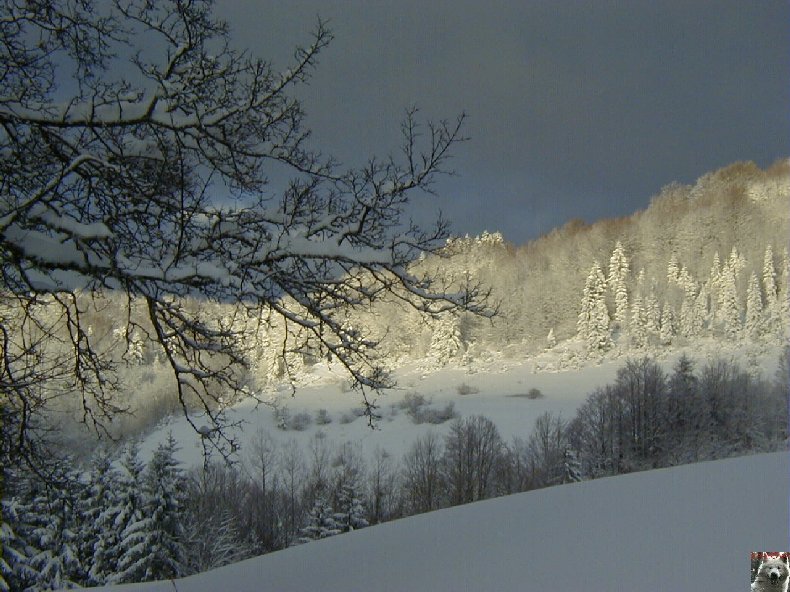 La Combe de Tressus (39) 0049