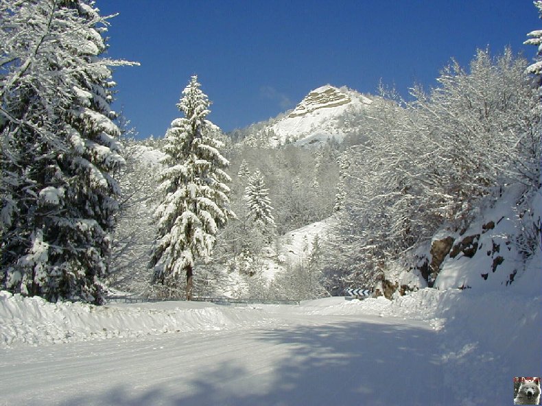 La Combe de Tressus (39) 0056