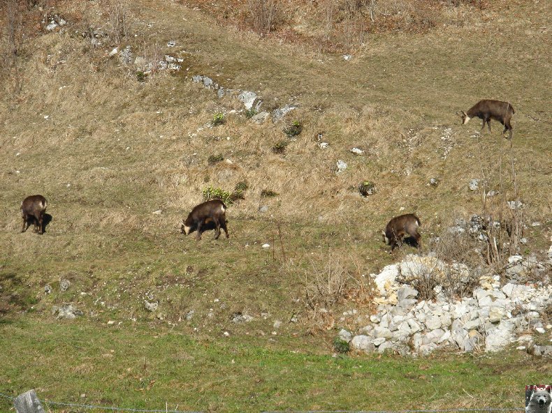 La Combe de Tressus (39) 0127