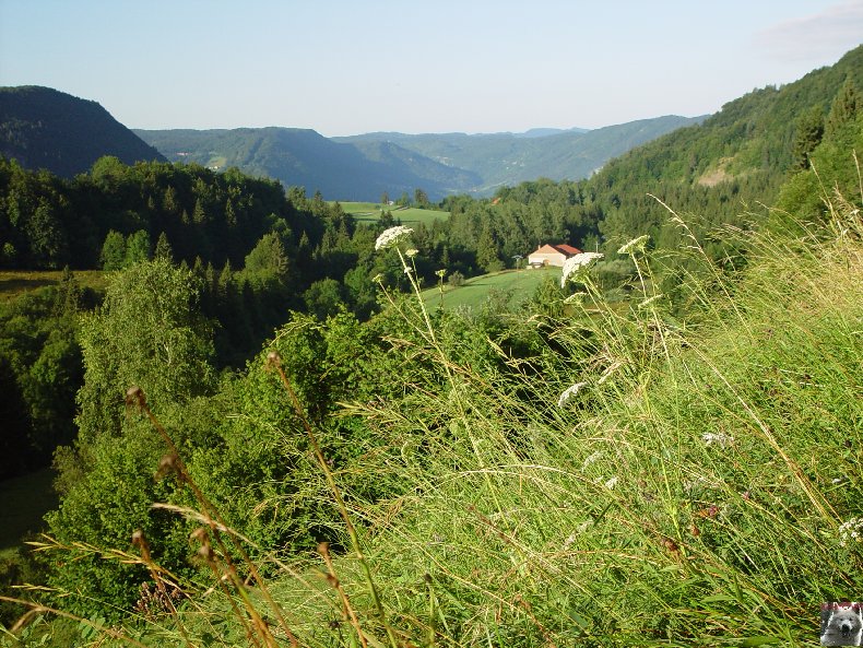 La Combe de Tressus (39) 0135