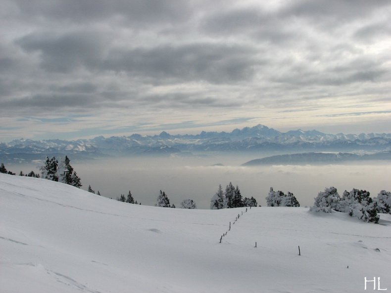 Au sommet de la Haute Chaine - Le Crêt de la Neige - 17/02/2010 0031