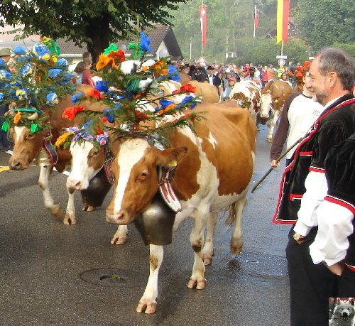 La 19 ème Désalpe de St-Cergue (VD) 0001