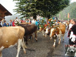 La 19 ème Désalpe de St-Cergue (VD) 0014