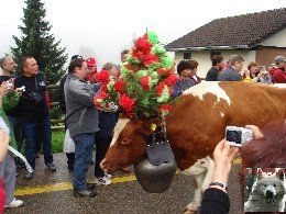 La 19 ème Désalpe de St-Cergue (VD) 0018