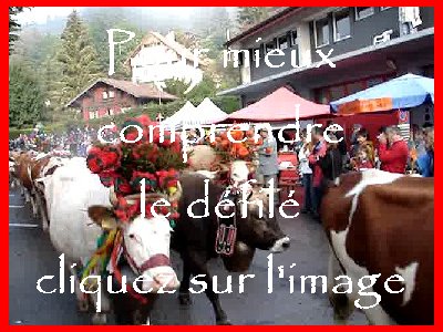 La 19 ème Désalpe de St-Cergue (VD) 0022a