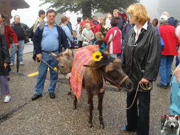 La 19 ème Désalpe de St-Cergue (VD) 0027