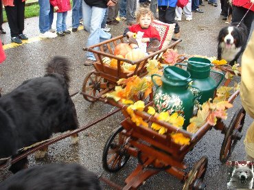 La 19 ème Désalpe de St-Cergue (VD) 0048