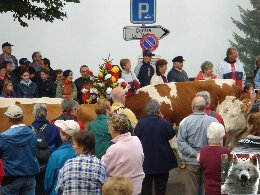 La 19 ème Désalpe de St-Cergue (VD) 0059