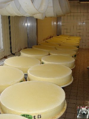 La fruitière à Comté de Grande Rivière [39) 0037