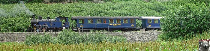 Entre Valais et Uri - La Furkabahn-Bergstrecke  0074