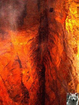 Les grottes de Baume les Messieurs (39) 0010