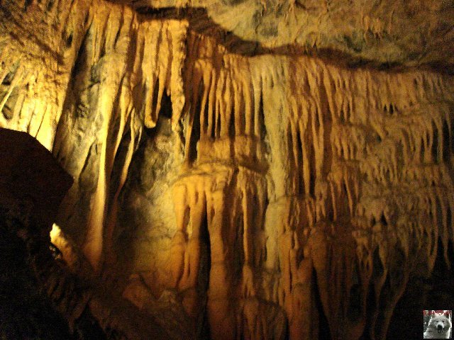 Les grottes de Baume les Messieurs (39) 0022